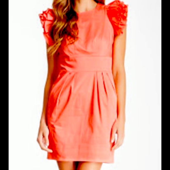 Ruffled Flutter Sleeve Dress - Size 8